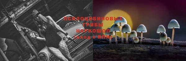 дмт Белоозёрский