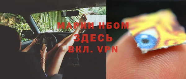 гидра Богородск