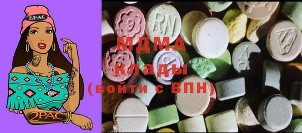гидра Богородск