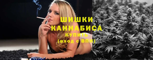 гидра Богородск