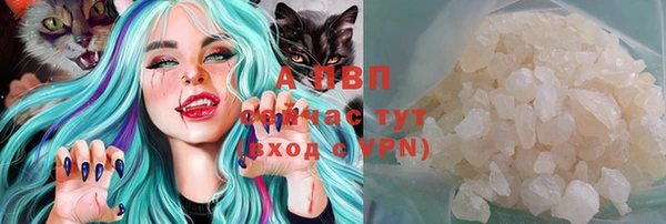 ешки Богданович