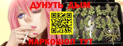 трава Кимры